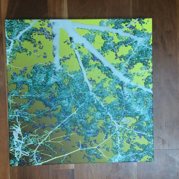 Authentic Matthew Lew, Ltd Ed. 4 piece art installation: "Through the Trees" - Picture 8 of 8